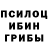 Галлюциногенные грибы Psilocybine cubensis Nikita Cloud